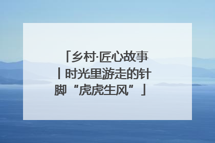 乡村·匠心故事丨时光里游走的针脚“虎虎生风”