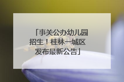 事关公办幼儿园招生！桂林一城区发布最新公告