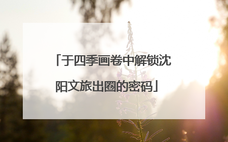 于四季画卷中解锁沈阳文旅出圈的密码