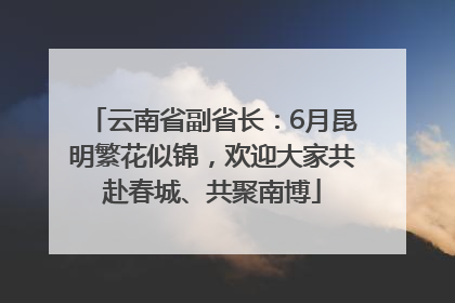 云南省副省长：6月昆明繁花似锦，欢迎大家共赴春城、共聚南博
