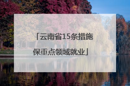 云南省15条措施保重点领域就业