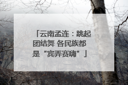 云南孟连：跳起团结舞 各民族都是“宾弄赛嗨”