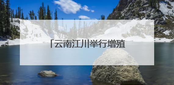 云南江川举行增殖放流活动 逾54万尾鱼游入星云湖