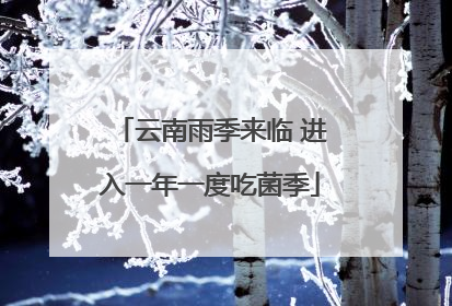 云南雨季来临 进入一年一度吃菌季