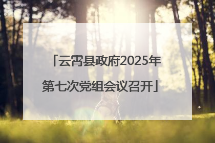 云霄县政府2025年第七次党组会议召开