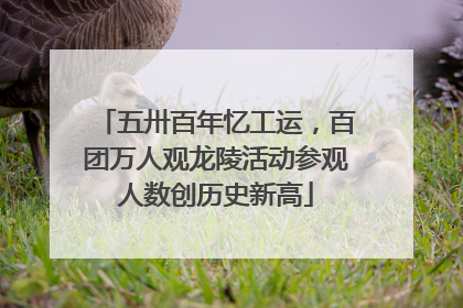 五卅百年忆工运，百团万人观龙陵活动参观人数创历史新高