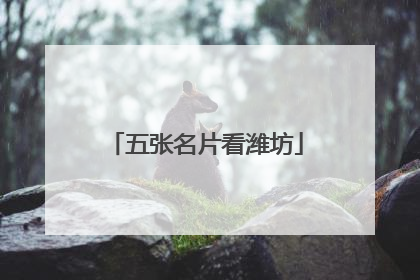 五张名片看潍坊