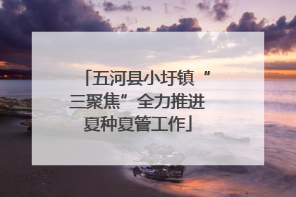五河县小圩镇“三聚焦”全力推进夏种夏管工作