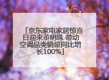 京东家电家居惊喜日迎来董明珠 带动空调品类销量同比增长100%