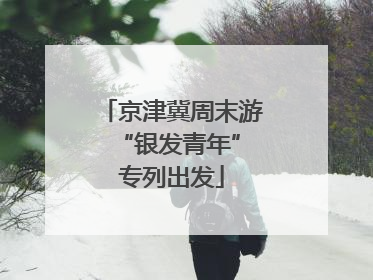 京津冀周末游 “银发青年”专列出发