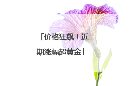 价格狂飙！近期涨幅超黄金
