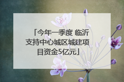 今年一季度 临沂支持中心城区城建项目资金5亿元