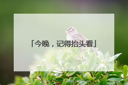 今晚，记得抬头看