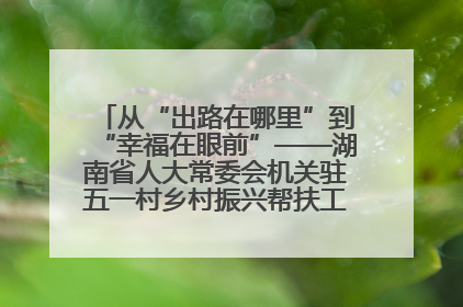 从“出路在哪里”到“幸福在眼前”——湖南省人大常委会机关驻五一村乡村振兴帮扶工作队书写振兴答卷
