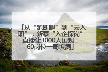 从“跑断腿”到“云入职”：新泰“入企探岗”直播让3000人围观，60岗位一周填满