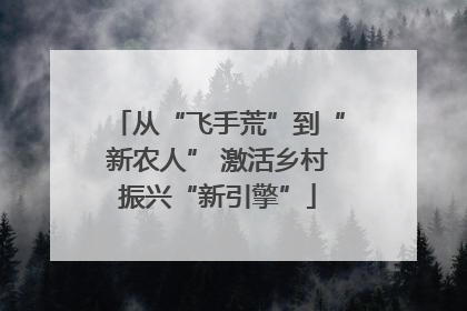 从“飞手荒”到“新农人” 激活乡村振兴“新引擎”