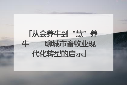 从会养牛到“慧”养牛——聊城市畜牧业现代化转型的启示