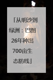 从明沙到绿洲：巴图26年种出700亩生态防线