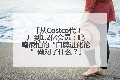 从Costco代工厂到1.2亿会员：鸣鸣很忙的“白牌进化论”做对了什么？