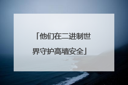 他们在二进制世界守护高墙安全