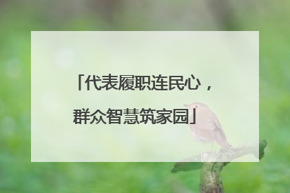 代表履职连民心，群众智慧筑家园