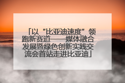 以“比亚迪速度”领跑新赛道——媒体融合发展暨绿色创新实践交流会首站走进比亚迪