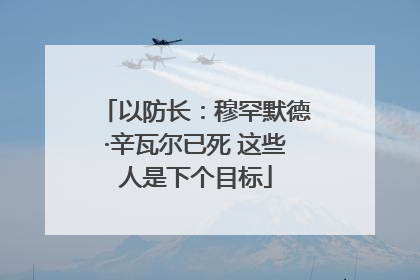 以防长：穆罕默德·辛瓦尔已死 这些人是下个目标