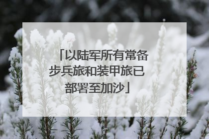 以陆军所有常备步兵旅和装甲旅已部署至加沙