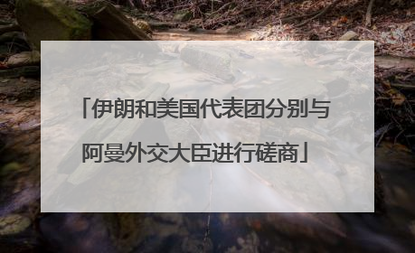 伊朗和美国代表团分别与阿曼外交大臣进行磋商