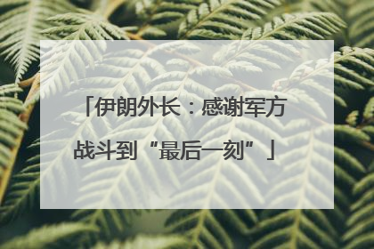 伊朗外长：感谢军方战斗到“最后一刻”