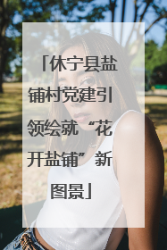 休宁县盐铺村党建引领绘就“花开盐铺”新图景