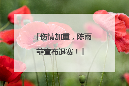伤情加重，陈雨菲宣布退赛！
