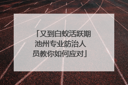 又到白蚁活跃期 池州专业防治人员教你如何应对