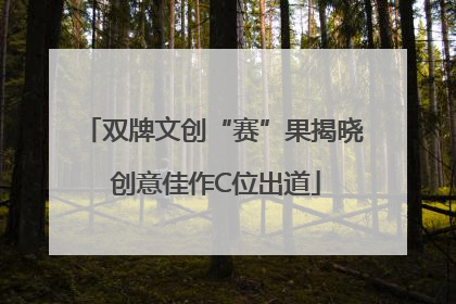 双牌文创“赛”果揭晓 创意佳作C位出道