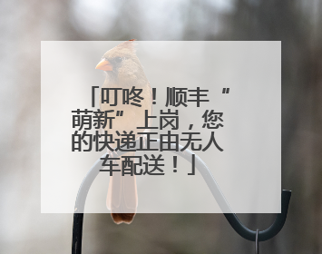 叮咚！顺丰“萌新”上岗，您的快递正由无人车配送！
