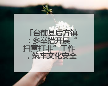 台前县后方镇：多举措开展“扫黄打非”工作，筑牢文化安全防线