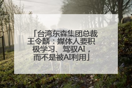台湾东森集团总裁王令麟：媒体人要积极学习、驾驭AI，而不是被AI利用