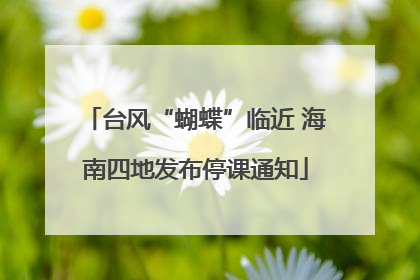 台风“蝴蝶”临近 海南四地发布停课通知