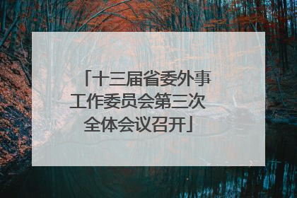 十三届省委外事工作委员会第三次全体会议召开