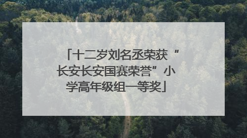 十二岁刘名丞荣获“长安长安国赛荣誉”小学高年级组一等奖