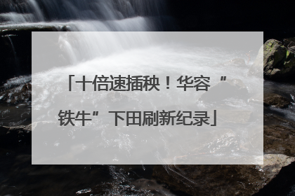 十倍速插秧！华容“铁牛”下田刷新纪录