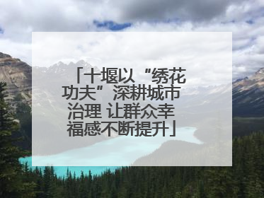 十堰以“绣花功夫”深耕城市治理 让群众幸福感不断提升