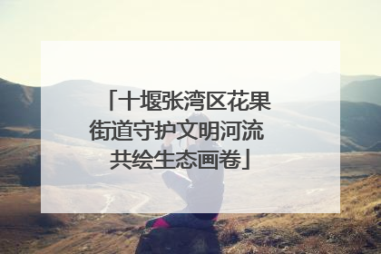 十堰张湾区花果街道守护文明河流 共绘生态画卷