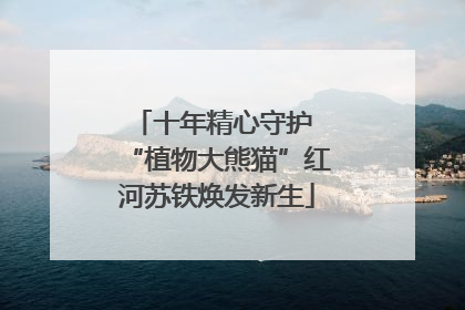 十年精心守护 “植物大熊猫”红河苏铁焕发新生