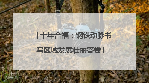 十年合福：钢铁动脉书写区域发展壮丽答卷