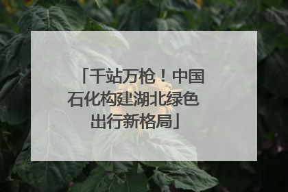 千站万枪！中国石化构建湖北绿色出行新格局