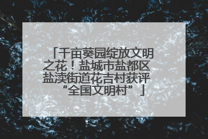 千亩葵园绽放文明之花！盐城市盐都区盐渎街道花吉村获评“全国文明村”