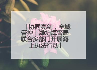 协同亮剑，全域管控丨潍坊海警局联合多部门开展海上执法行动