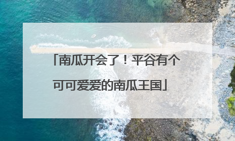 南瓜开会了！平谷有个可可爱爱的南瓜王国
