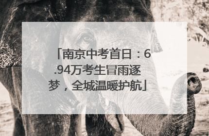 南京中考首日：6.94万考生冒雨逐梦，全城温暖护航